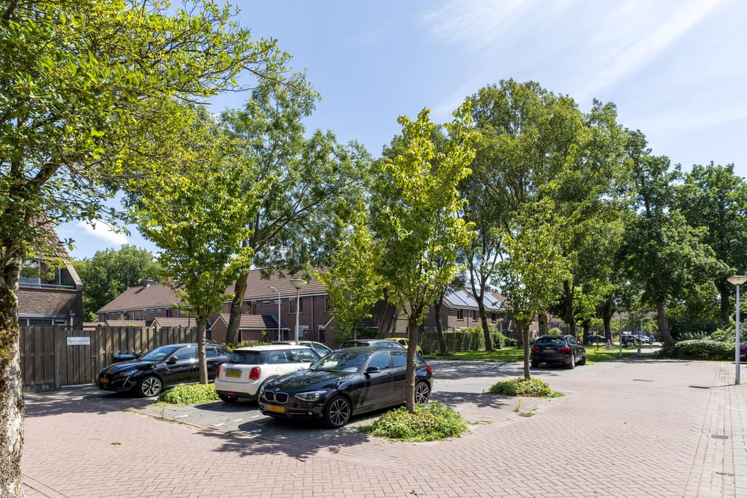 Foto 22 van Ellekampzoom 59