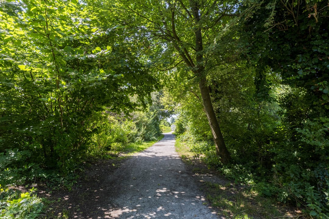 Foto 26 van Ellekampzoom 59