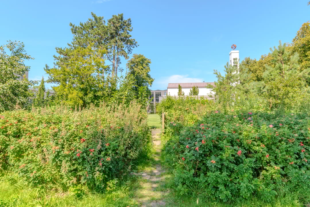 Foto 46 van Mericilaan 120