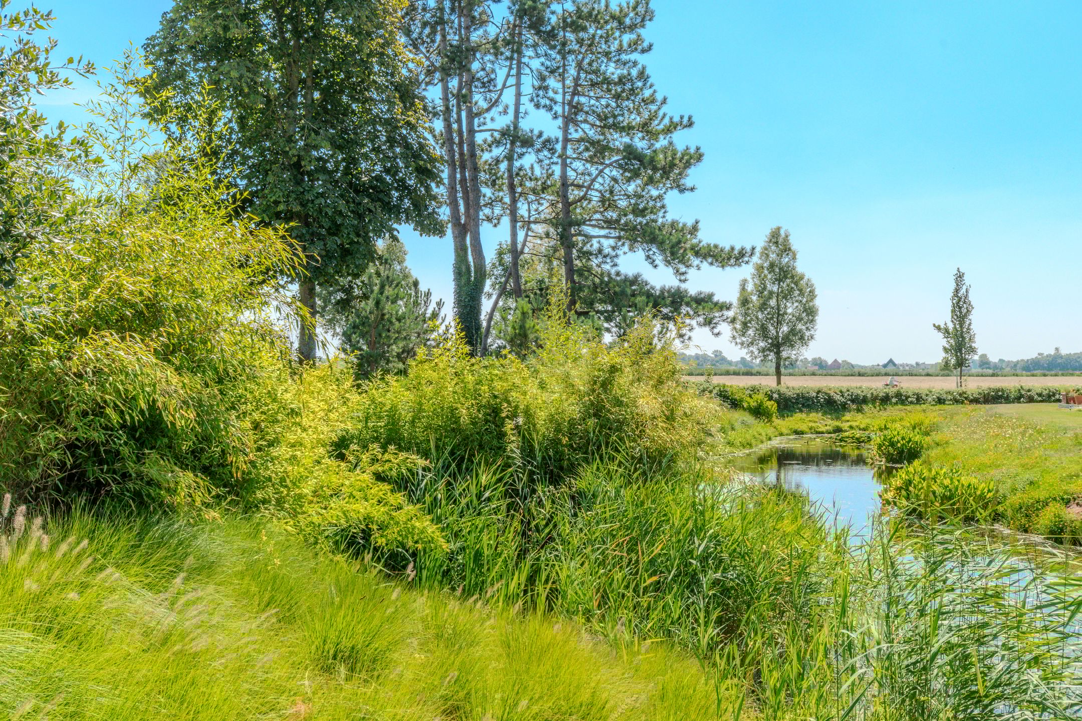 Foto 48 van Mericilaan 120