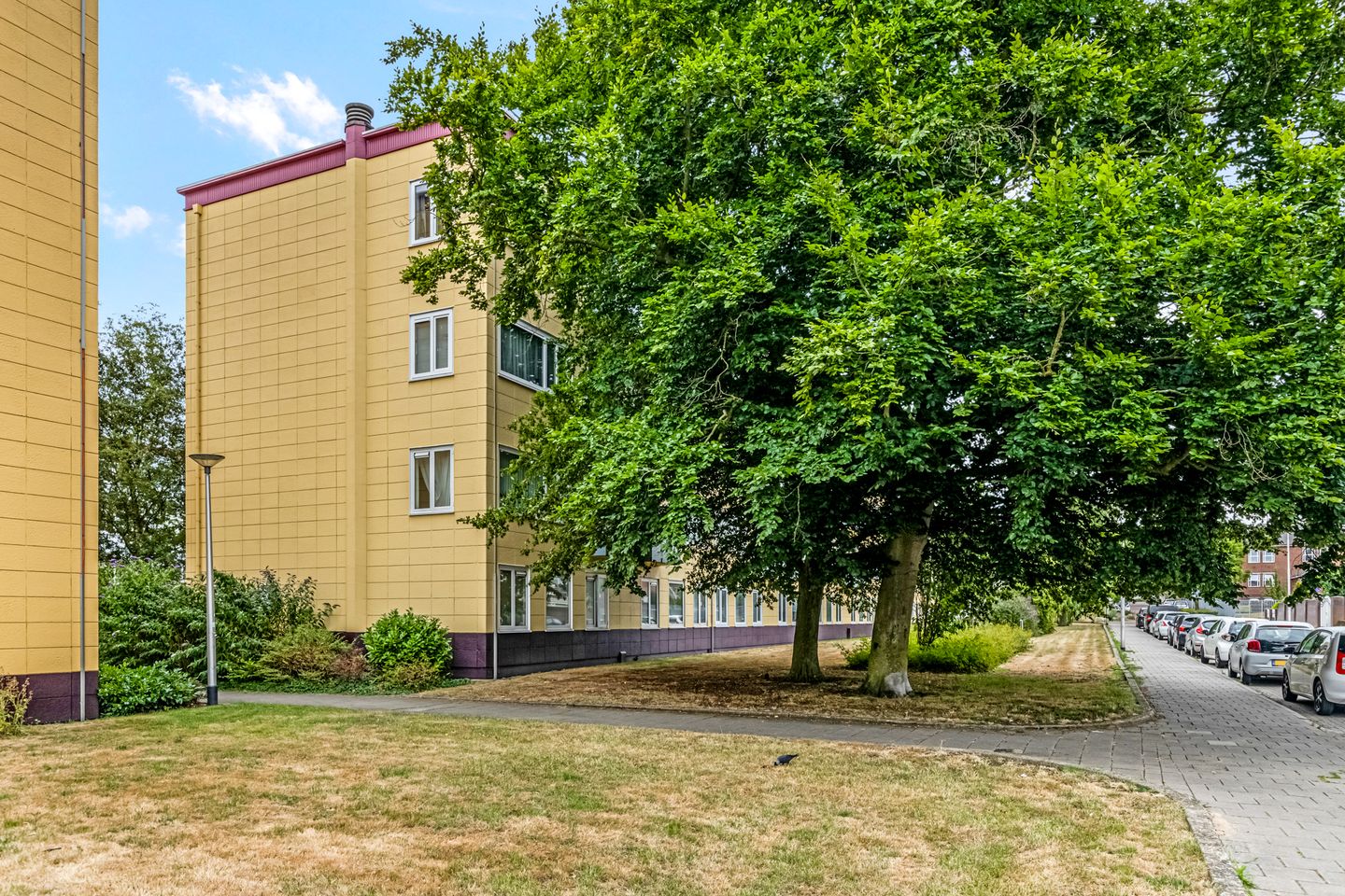 Foto 25 van Sneeuwbalstraat 55