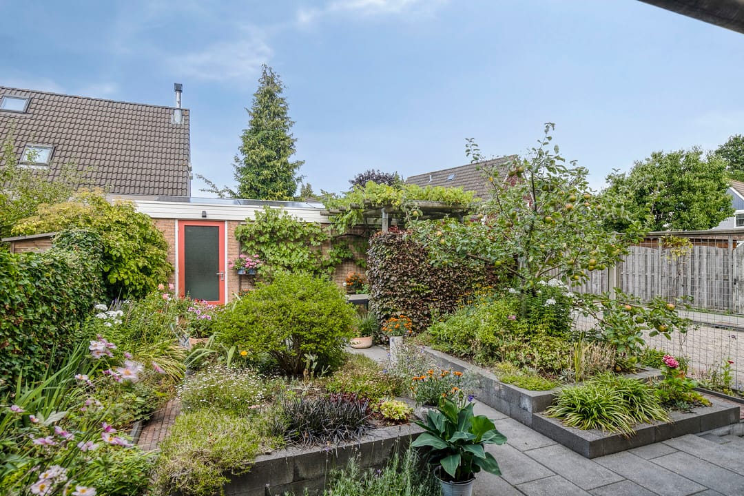 Foto 32 van Wold 20 65