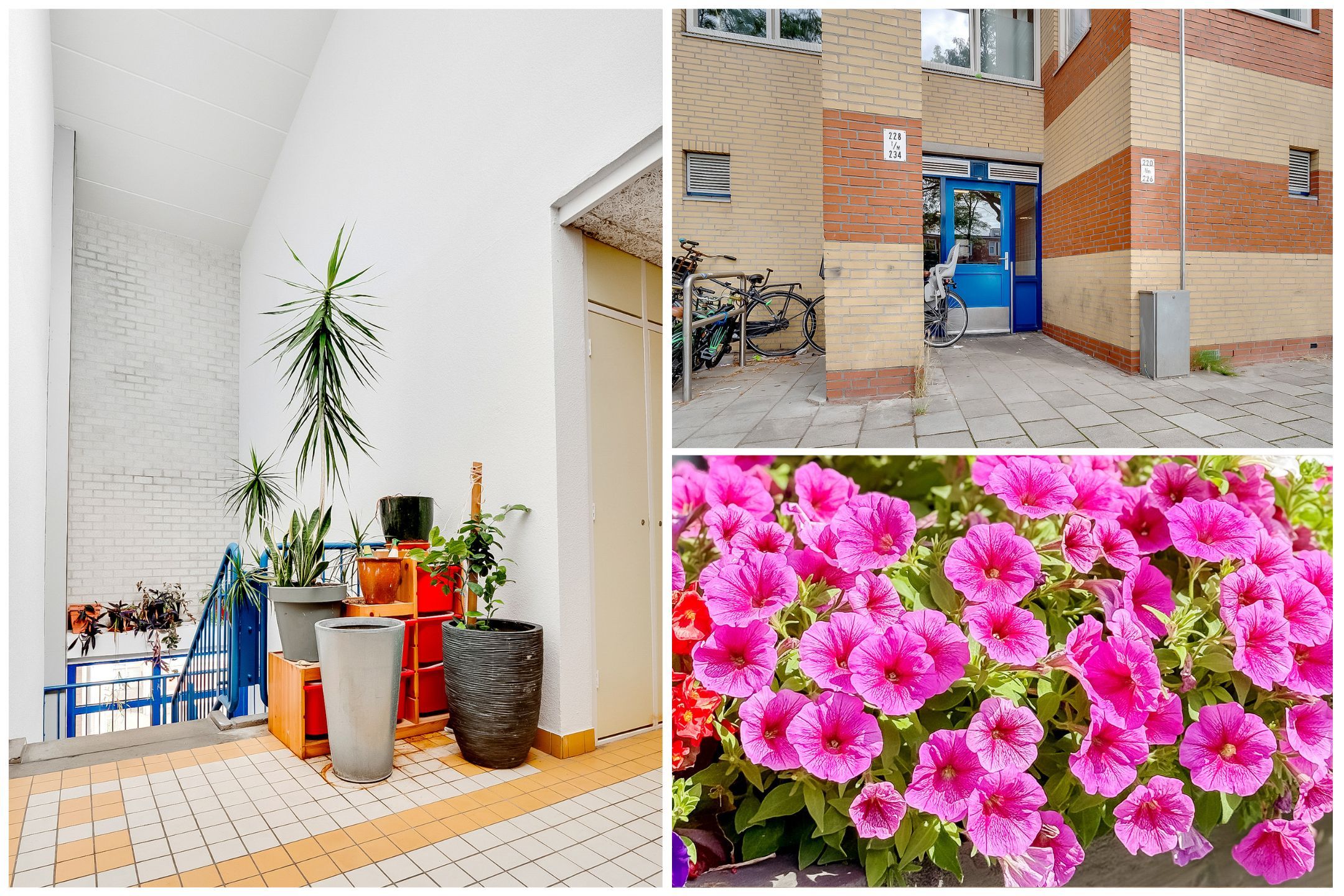 Photo 24 of Kolfschotenstraat 226