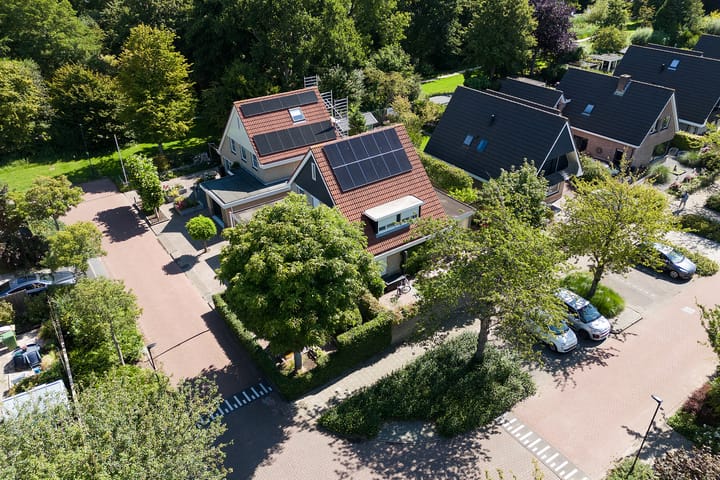 Foto 3 van Keizerarend 2