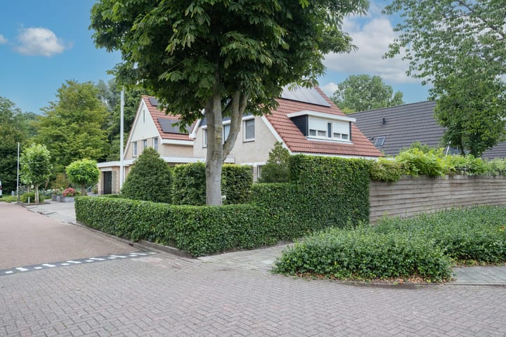 Foto 2 van Keizerarend 2