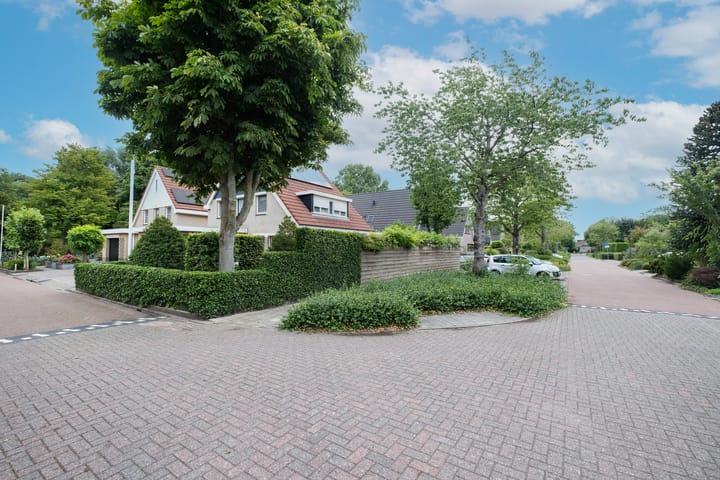 Foto 36 van Keizerarend 2