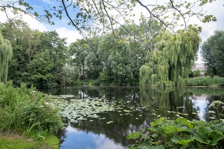 Foto 40 van Keizerarend 2