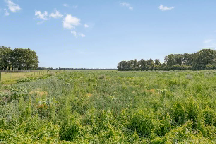 Foto 50 van Sportparklaan 1