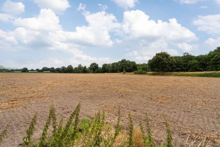 Foto 48 van Schoor 43