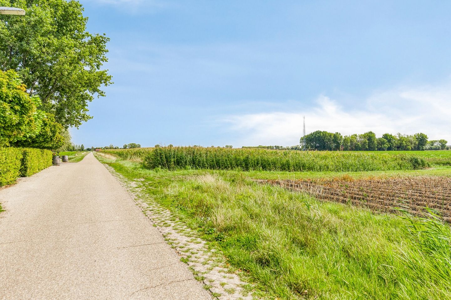 Foto 79 van Weverstraat 17