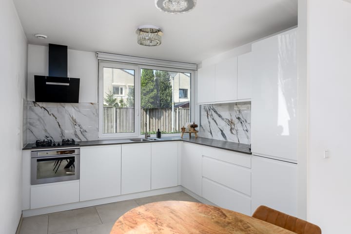 Foto 2 van L.C. van der Vlugtstraat 102