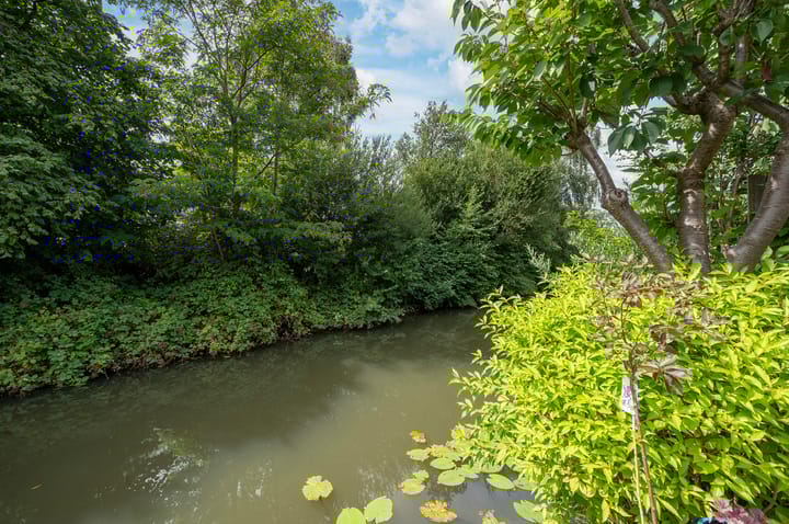 Foto 38 van Pauwenkamp 242