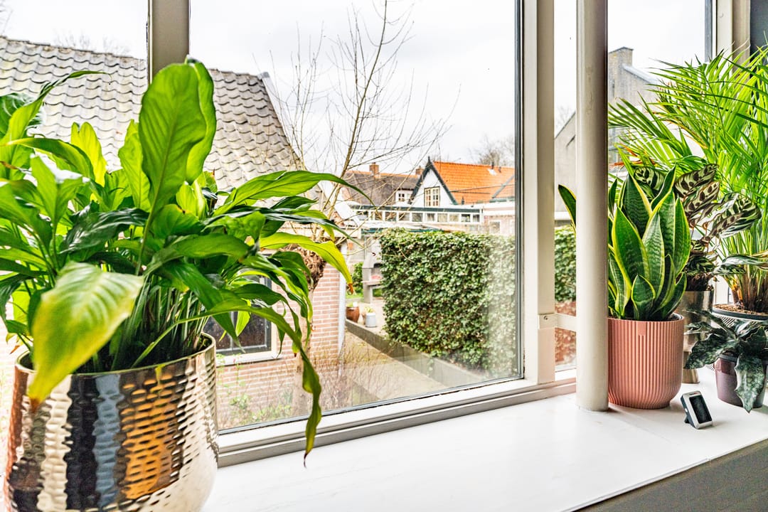 Foto 46 van Watertje 8