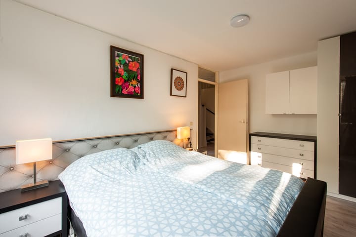 Foto 12 van de Roos 21