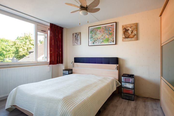 Foto 13 van de Roos 21