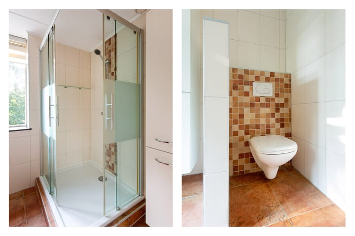 Foto 19 van de Roos 21