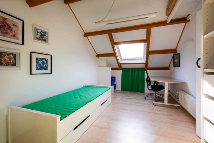 Foto 20 van de Roos 21