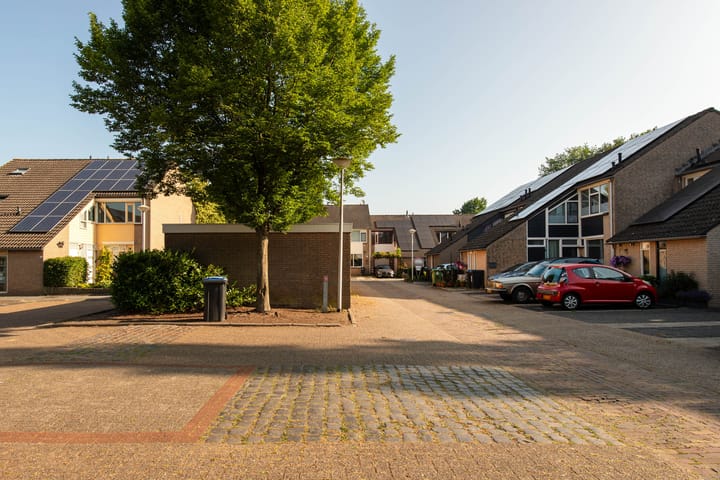 Foto 28 van de Roos 21