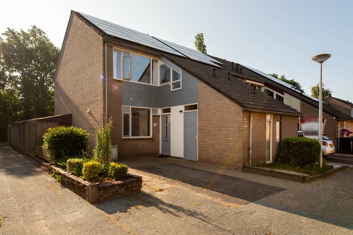 Foto 1 van de Roos 21