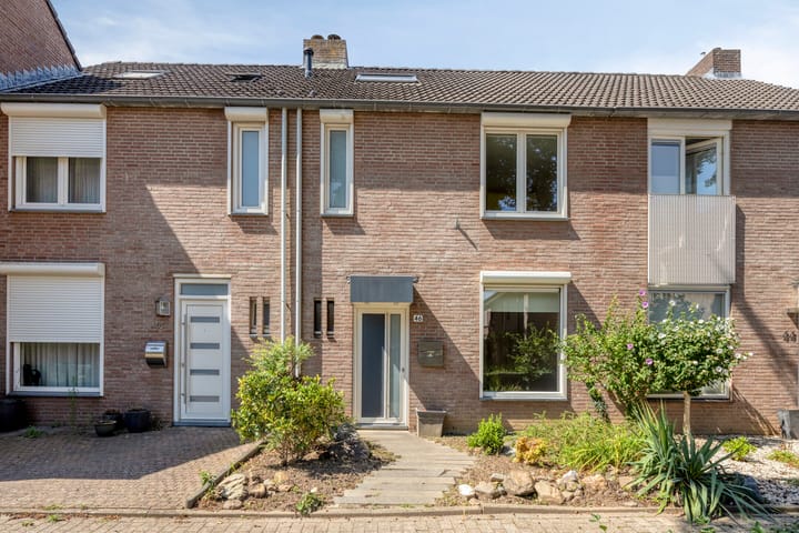 Foto 1 van Kamilleweerd 46