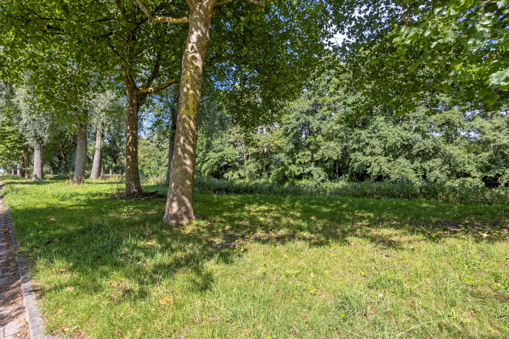 Foto 39 van Adriaan Kluitstraat 9-3