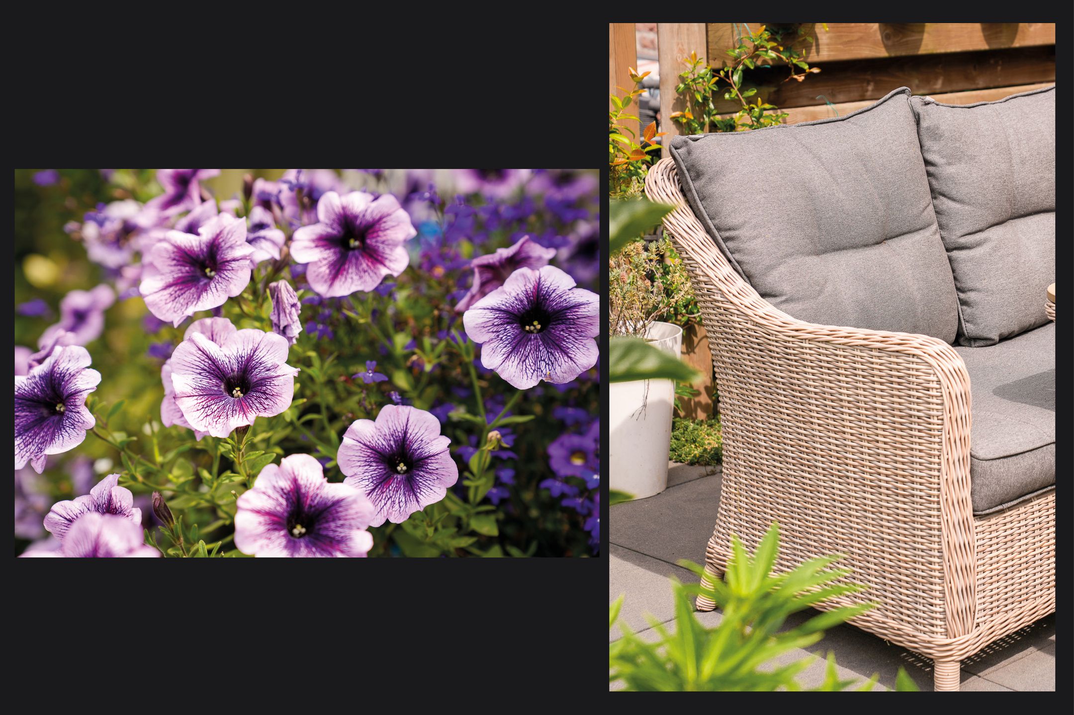 Photo 12 of de Zandkampen 74