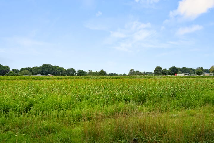 Foto 5 van Mosselsepad 37