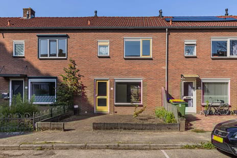 undefined main image