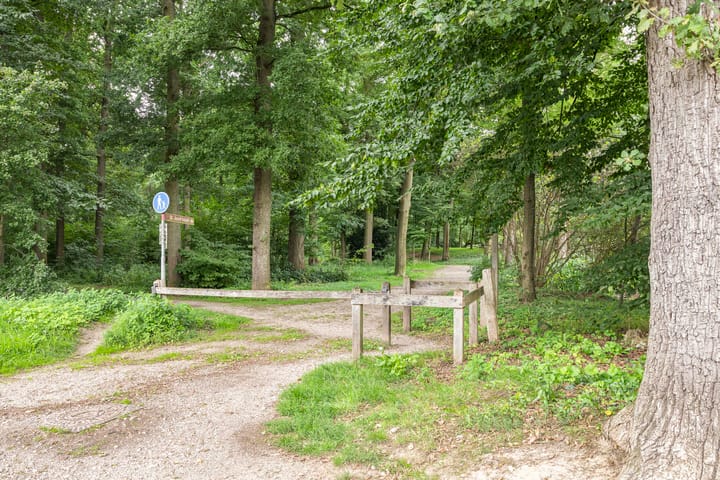 Foto 27 van Merelstraat 17