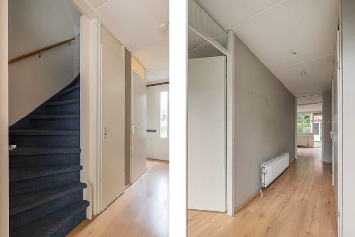 Foto 3 van Kleibos 6