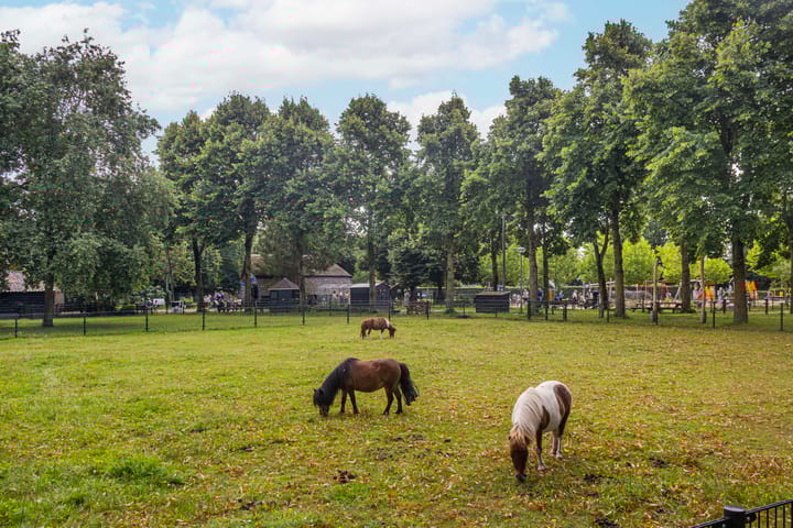 Photo 47 of Pienemanstraat 77