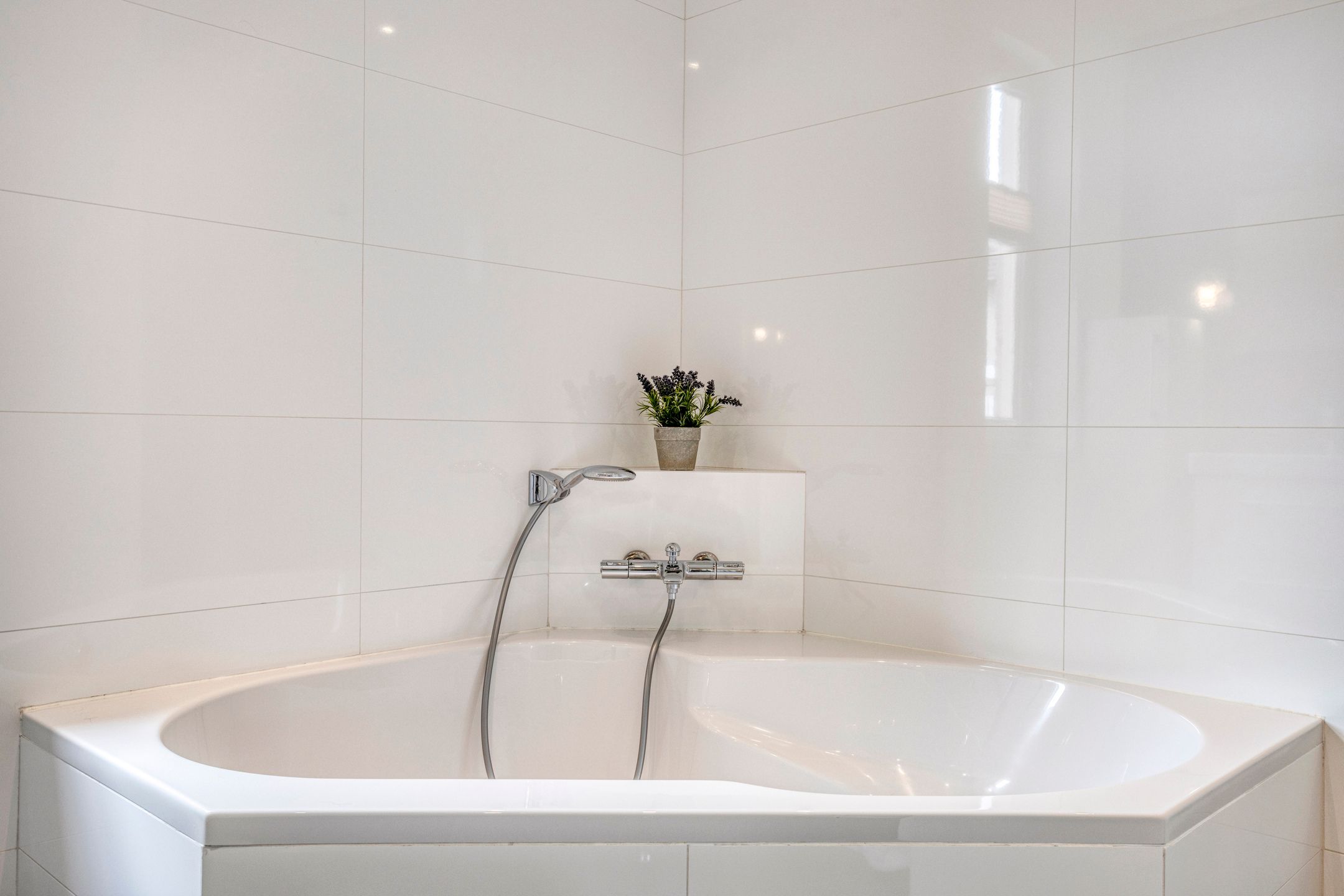 Foto 27 van Evenestraat 2-A