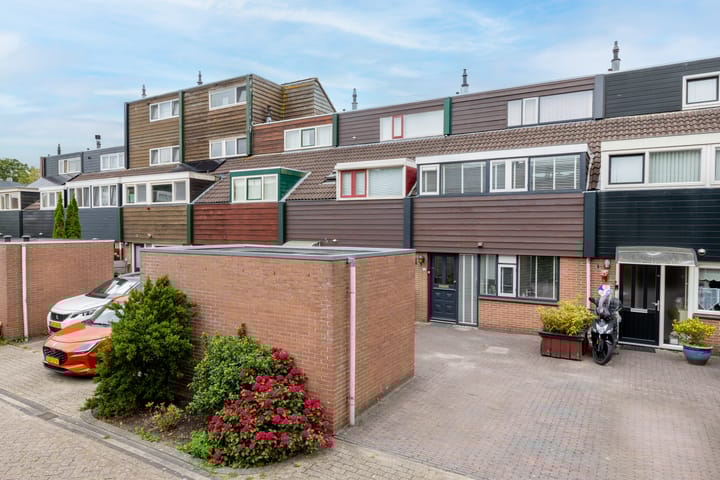 Foto 1 van Wilgenroos 13