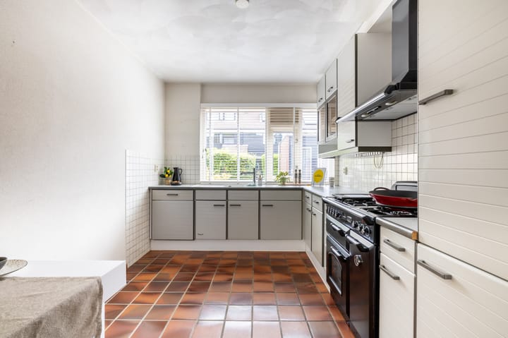 Foto 18 van Wilgenroos 13