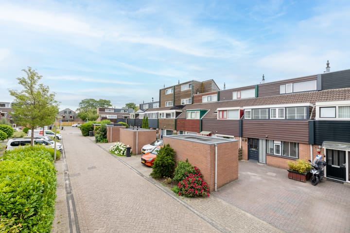 Foto 40 van Wilgenroos 13