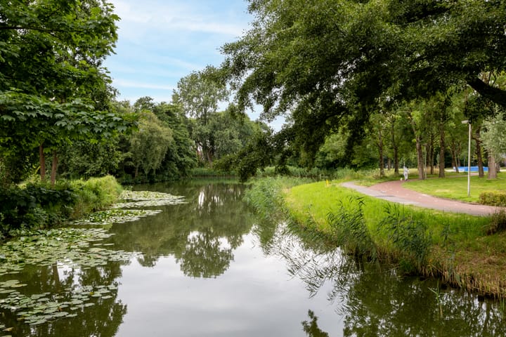 Foto 42 van Wilgenroos 13