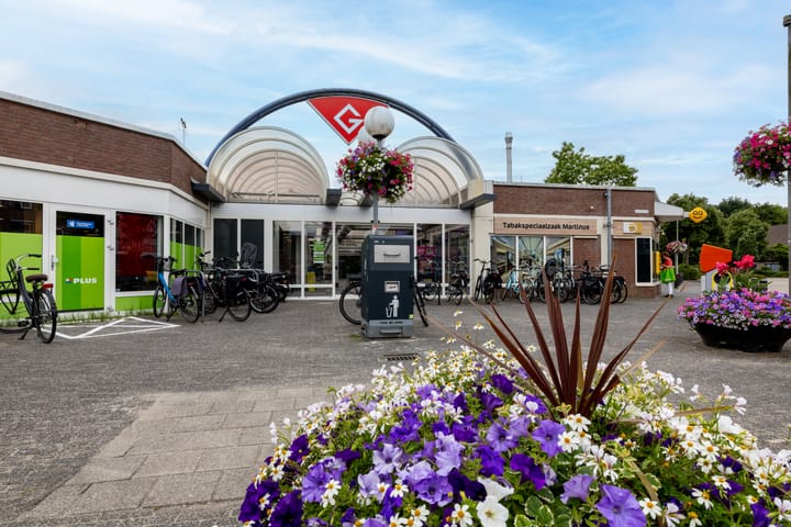 Foto 43 van Wilgenroos 13