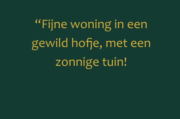 Foto 6 van Seinhuiswei 25