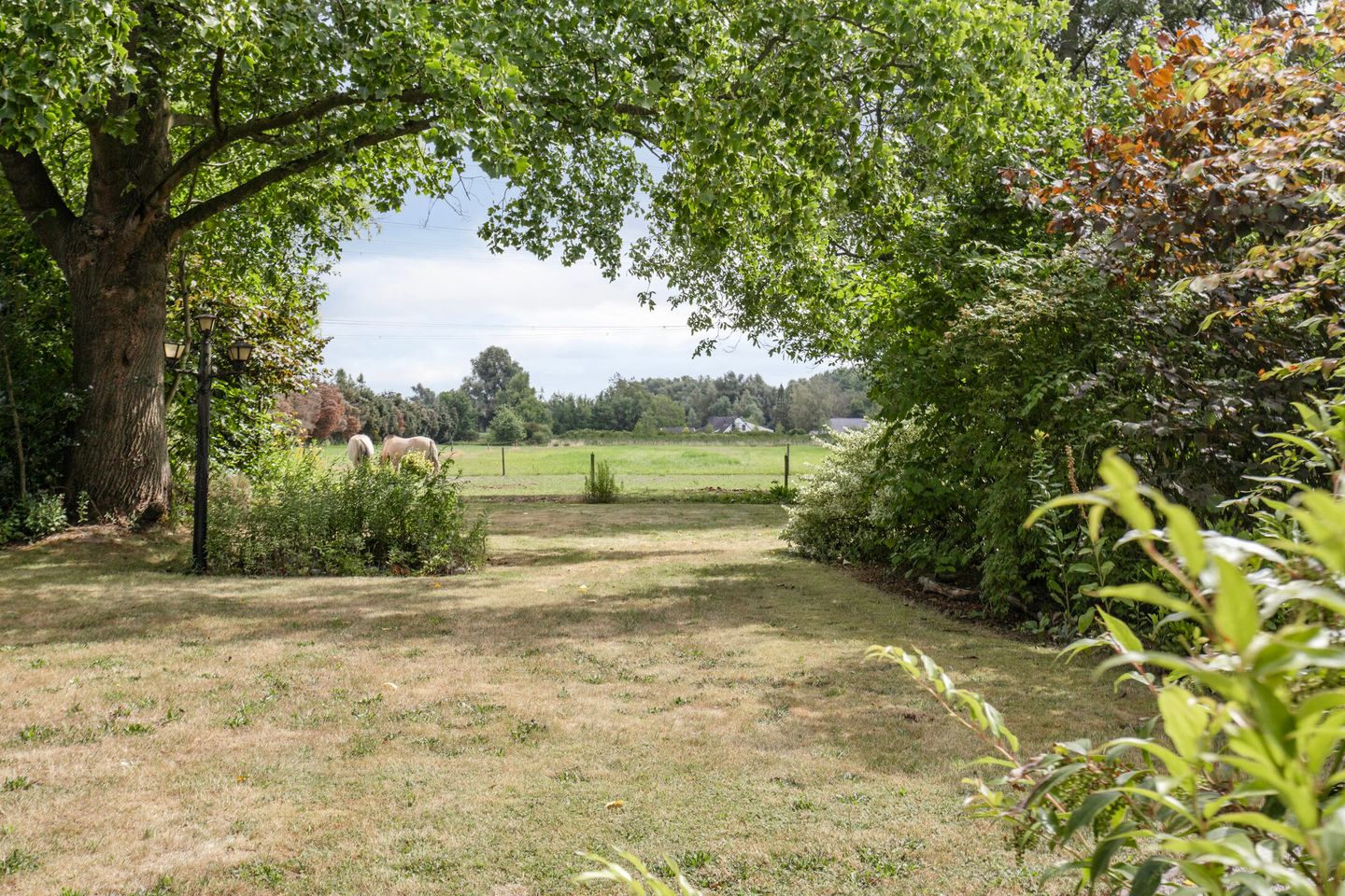 Foto 19 van Eindhovenseweg 27-B