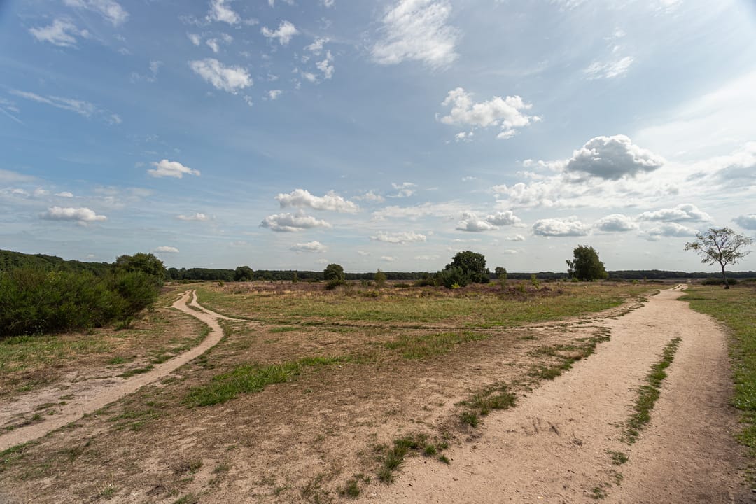 Foto 28 van Lange Heul 802