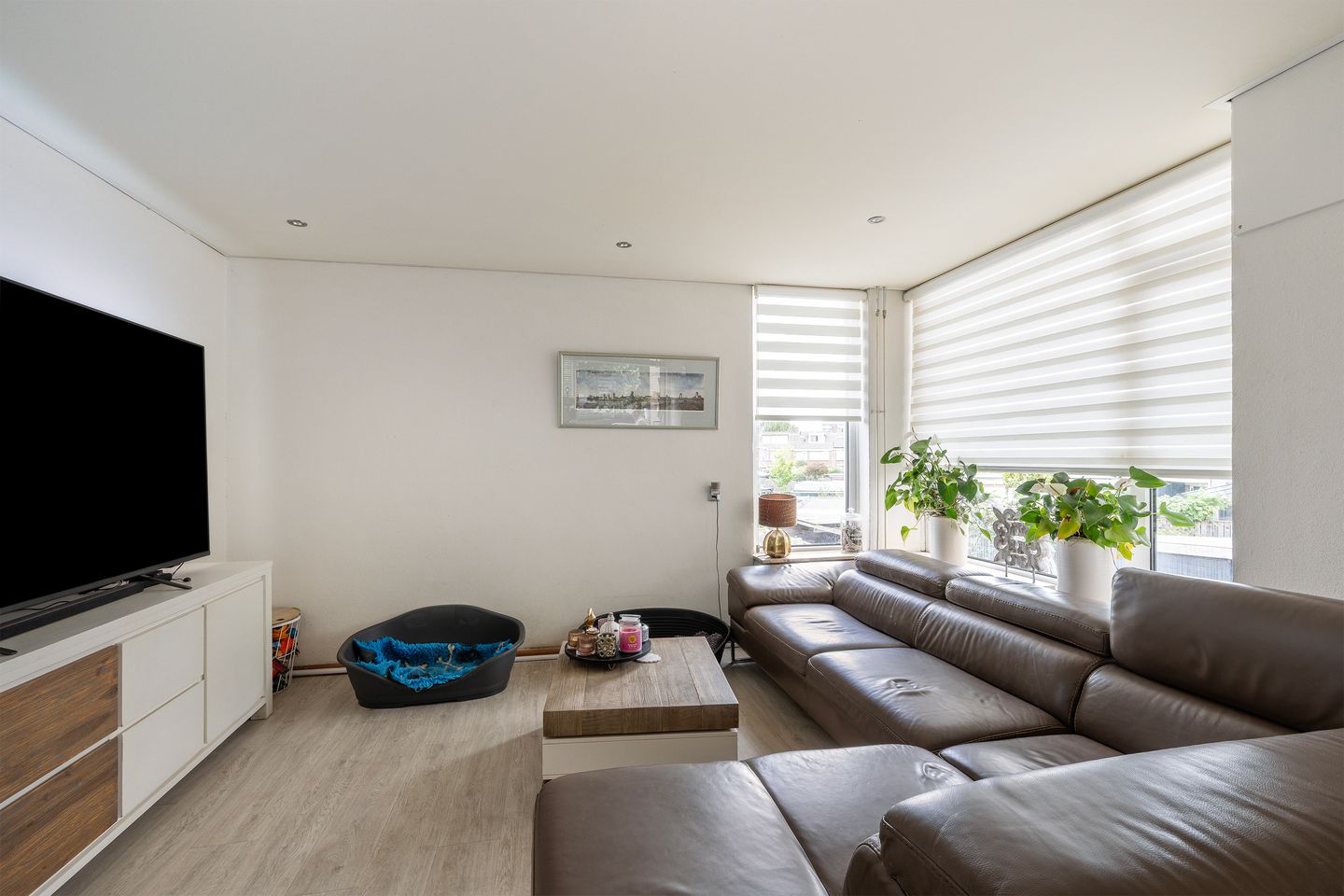 Foto 14 van Johan Willem Frisolaan 52