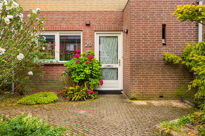 Foto 3 van De Eersteling 20