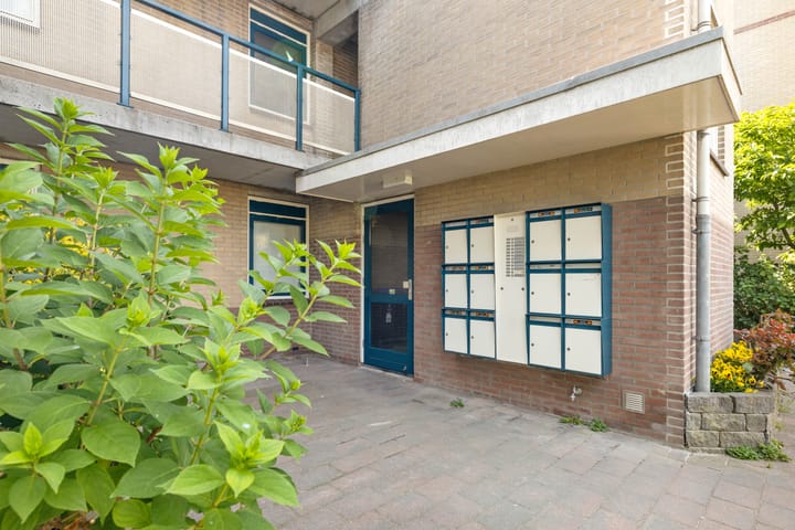 Foto 8 van Stauntonstraat 109