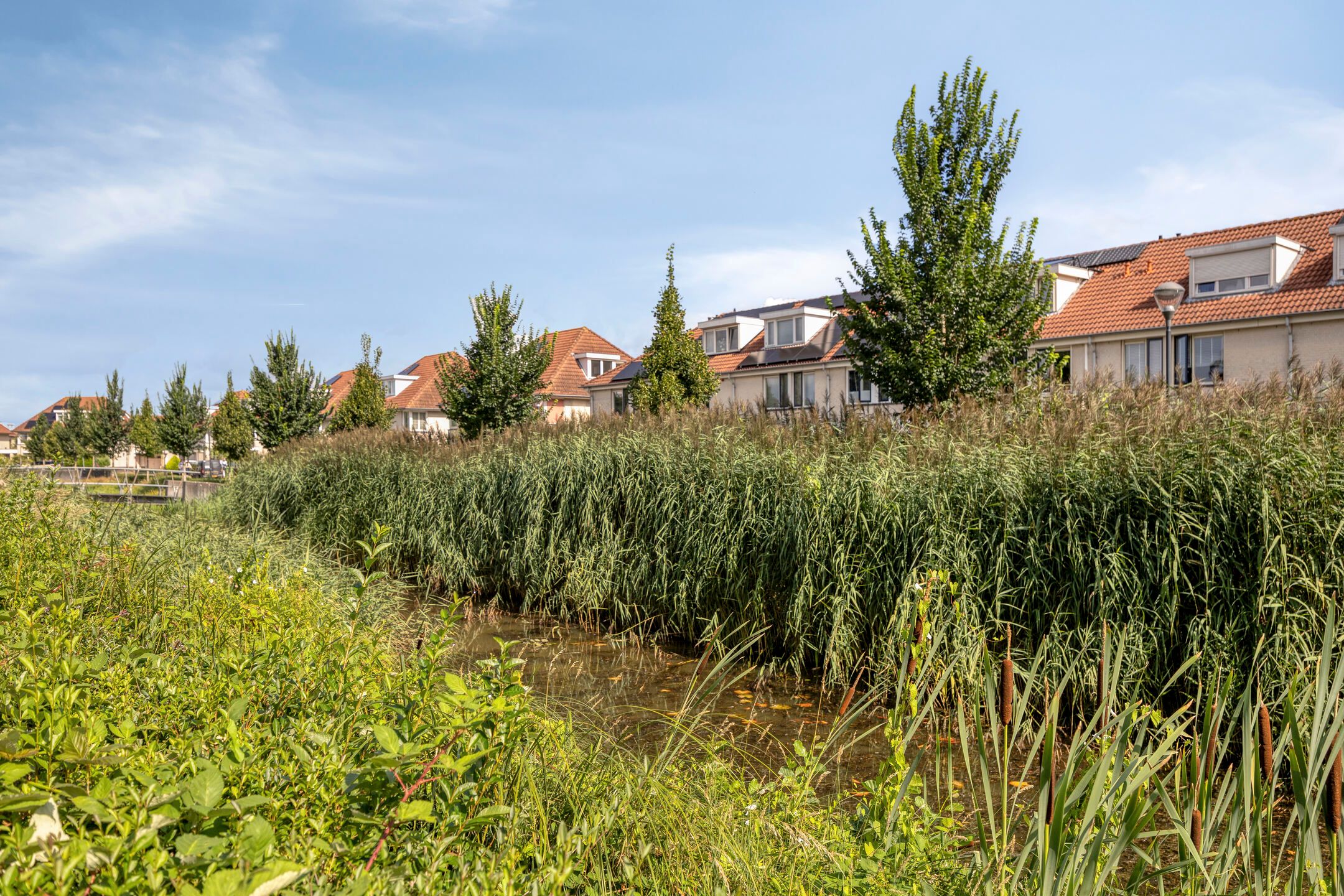 Foto 36 van Pastoor de Leijerstraat 38