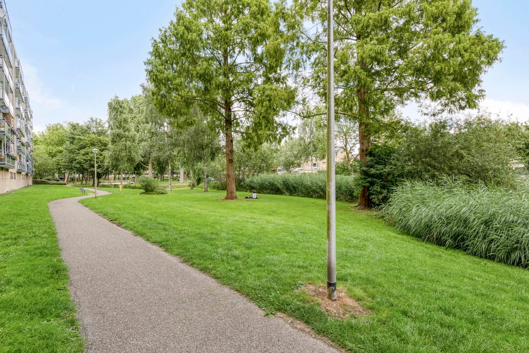 Foto 32 van Argostraat 236