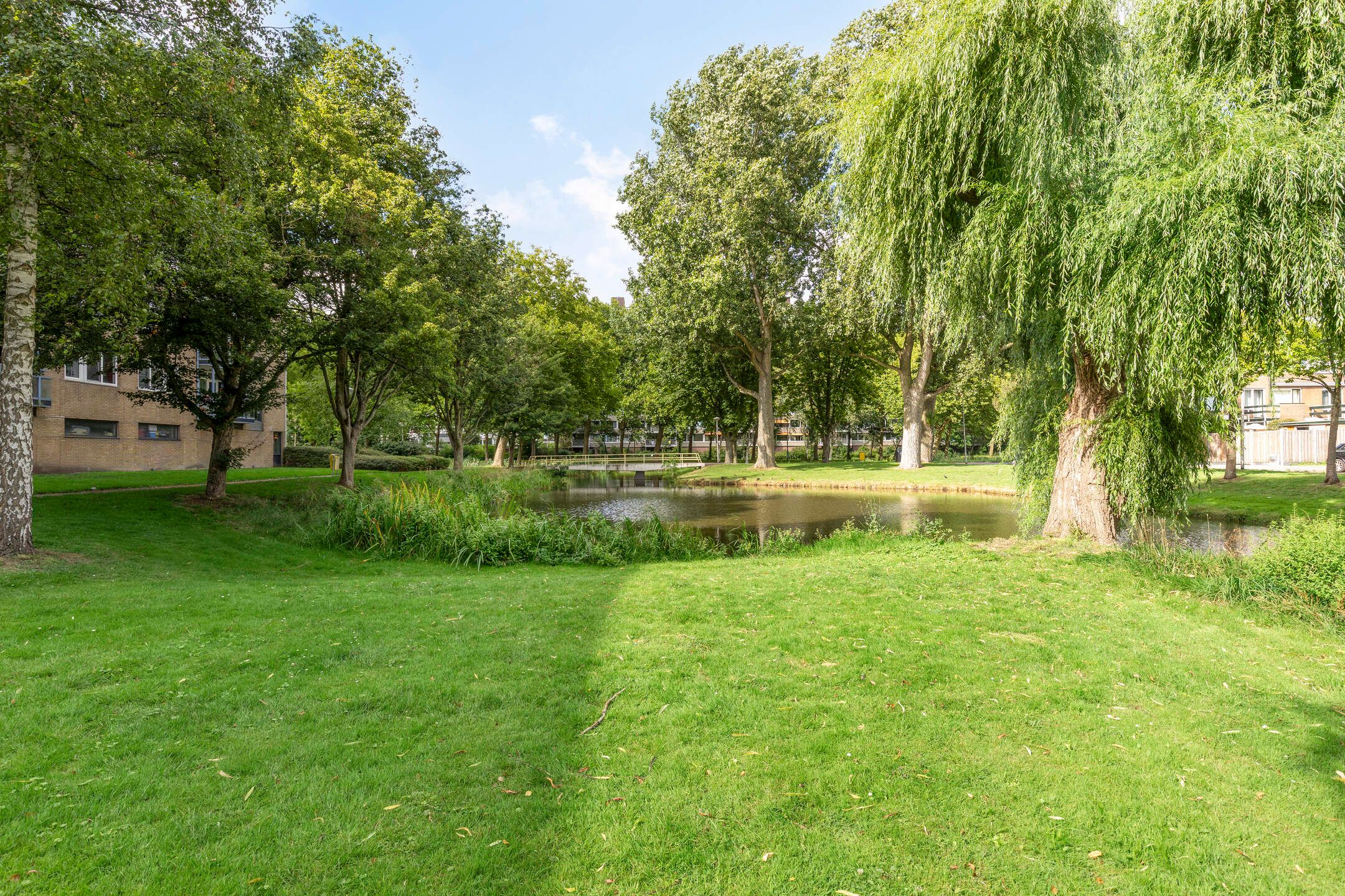 Foto 33 van Argostraat 236