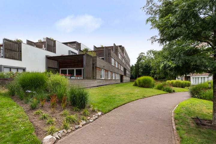 Photo 35 of Roojan 10