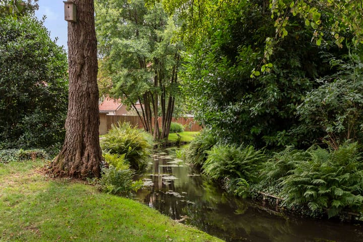 Photo 38 of Roojan 10