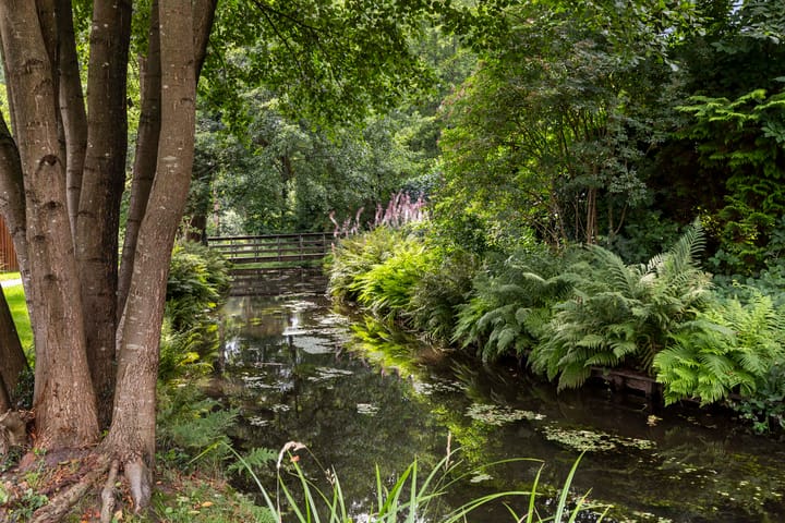 Photo 39 of Roojan 10