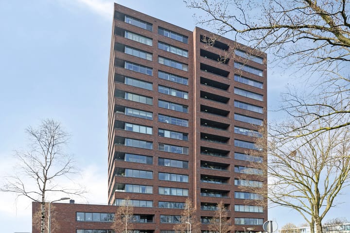 Photo 27 of Koning Davidstraat 221